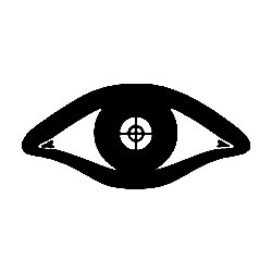 Network Mapper (Nmap)