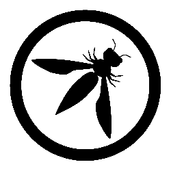 OWASP Standards